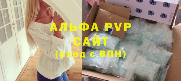 хмурый Белокуриха