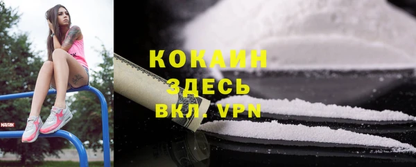 хмурый Белокуриха