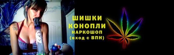 хмурый Белокуриха