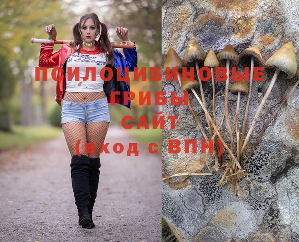прущий лед Беломорск