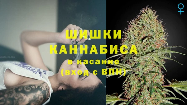 хмурый Белокуриха