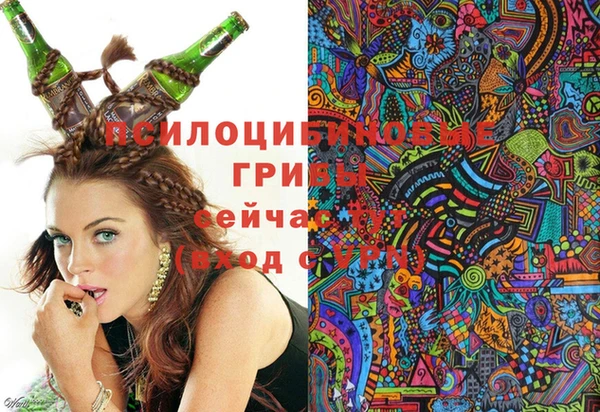 хмурый Белокуриха