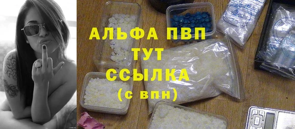 хмурый Белокуриха