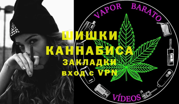 хмурый Белокуриха