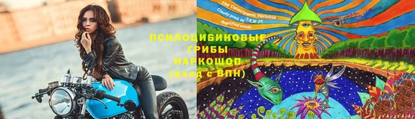 хмурый Белокуриха