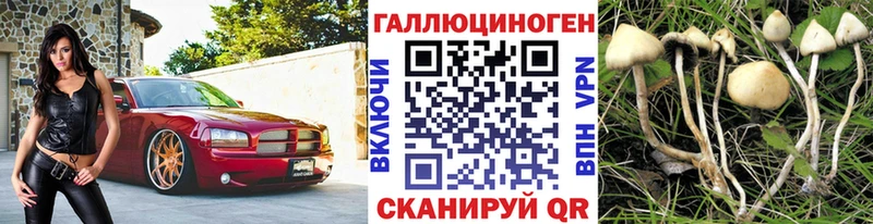 Псилоцибиновые грибы ЛСД где можно купить наркотик Малая Вишера